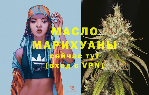 крисы Надым