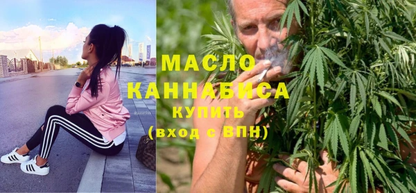 крисы Надым