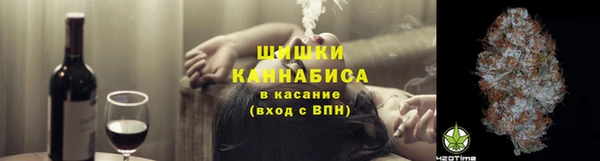 крисы Надым