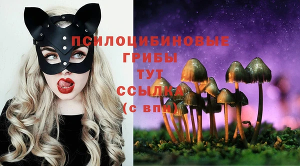 синтетический гашиш Нефтекумск