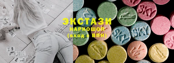 крисы Надым