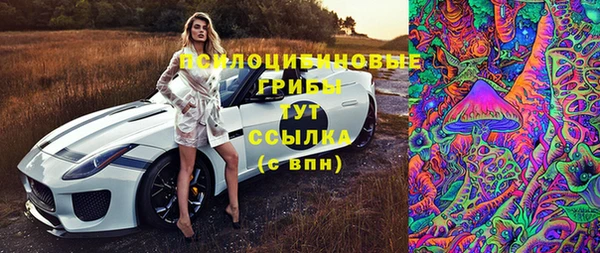 крисы Надым
