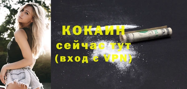 дживик Нея