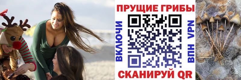 что такое наркотик Холм Галлюциногенные грибы мицелий